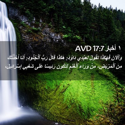 Picture 02 - ١ أخبار 17:7 AVD - وَٱلْآنَ فَهَكَذَا - Bible Verse Picture