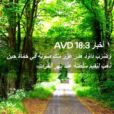 Picture 02 - ١ أخبار 18:3 AVD - وَضَرَبَ دَاوُدُ هَدَرَ - Bible Verse Picture