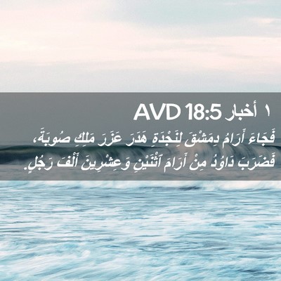Picture 02 - ١ أخبار 18:5 AVD - فَجَاءَ أَرَامُ دِمَشْقَ - Bible Verse Picture