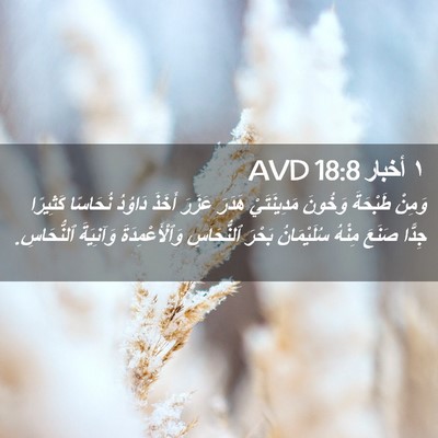 Picture 02 - ١ أخبار 18:8 AVD - وَمِنْ طَبْحَةَ وَخُونَ - Bible Verse Picture
