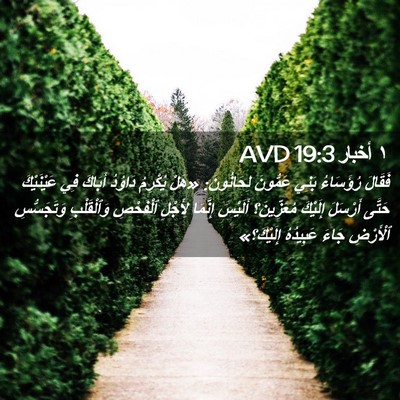 Picture 02 - ١ أخبار 19:3 AVD - فَقَالَ رُؤَسَاءُ بَنِي - Bible Verse Picture