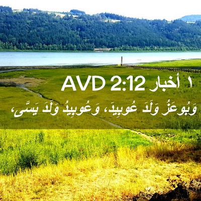 Picture 02 - ١ أخبار 2:12 AVD - وَبُوعَزُ وَلَدَ - Bible Verse Picture
