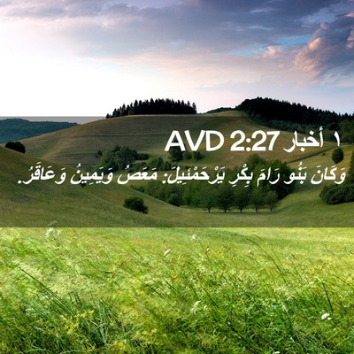 Picture 02 - ١ أخبار 2:27 AVD - وَكَانَ بَنُو رَامَ بِكْرِ - Bible Verse Picture