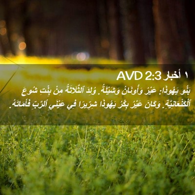 Picture 02 - ١ أخبار 2:3 AVD - بَنُو يَهُوذَا: عَيْرُ - Bible Verse Picture