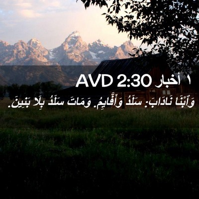 Picture 02 - ١ أخبار 2:30 AVD - وَٱبْنَا نَادَابَ: سَلَدُ - Bible Verse Picture