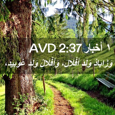 Picture 02 - ١ أخبار 2:37 AVD - وَزَابَادُ وَلَدَ - Bible Verse Picture
