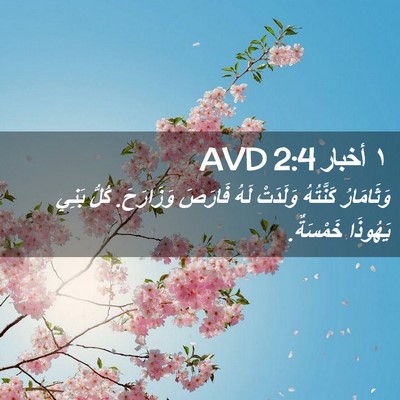 Picture 02 - ١ أخبار 2:4 AVD - وَثَامَارُ كَنَّتُهُ - Bible Verse Picture