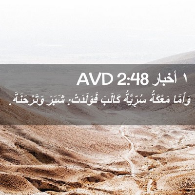 Picture 02 - ١ أخبار 2:48 AVD - وَأَمَّا مَعْكَةُ - Bible Verse Picture