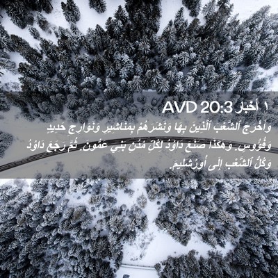 Picture 02 - ١ أخبار 20:3 AVD - وَأَخْرَجَ ٱلشَّعْبَ - Bible Verse Picture