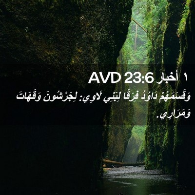 Picture 02 - ١ أخبار 23:6 AVD - وَقَسَمَهُمْ دَاوُدُ - Bible Verse Picture