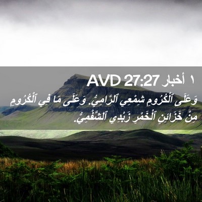 Picture 02 - ١ أخبار 27:27 AVD - وَعَلَى ٱلْكُرُومِ - Bible Verse Picture