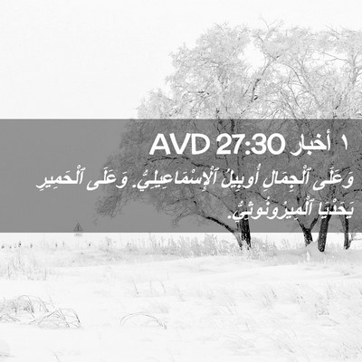 Picture 02 - ١ أخبار 27:30 AVD - وَعَلَى ٱلْجِمَالِ - Bible Verse Picture