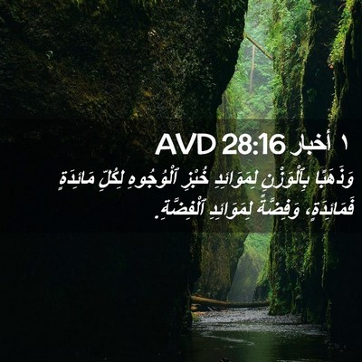 Picture 02 - ١ أخبار 28:16 AVD - وَذَهَبًا بِٱلْوَزْنِ - Bible Verse Picture