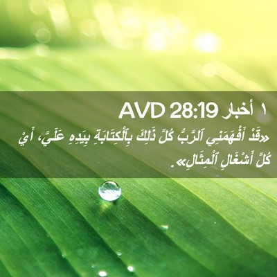Picture 02 - ١ أخبار 28:19 AVD - «قَدْ أَفْهَمَنِي - Bible Verse Picture