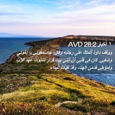 Picture 02 - ١ أخبار 28:2 AVD - وَوَقَفَ دَاوُدُ - Bible Verse Picture
