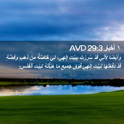 Picture 02 - ١ أخبار 29:3 AVD - وَأَيْضًا لِأَنِّي قَدْ - Bible Verse Picture