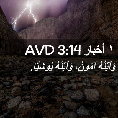 Picture 02 - ١ أخبار 3:14 AVD - وَٱبْنُهُ آمُونُ، - Bible Verse Picture