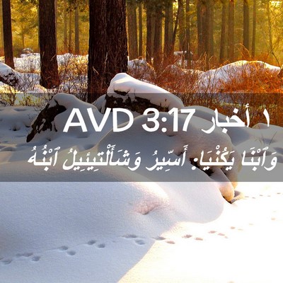 Picture 02 - ١ أخبار 3:17 AVD - وَٱبْنَا يَكُنْيَا: - Bible Verse Picture