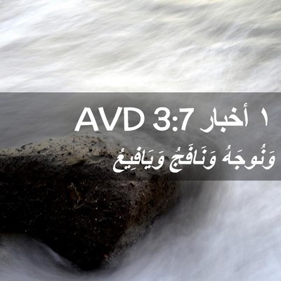 Picture 02 - ١ أخبار 3:7 AVD - وَنُوجَهُ وَنَافَجُ - Bible Verse Picture