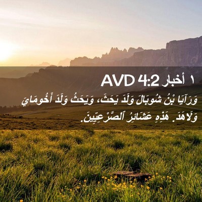 Picture 02 - ١ أخبار 4:2 AVD - وَرَآيَا بْنُ شُوبَالَ - Bible Verse Picture