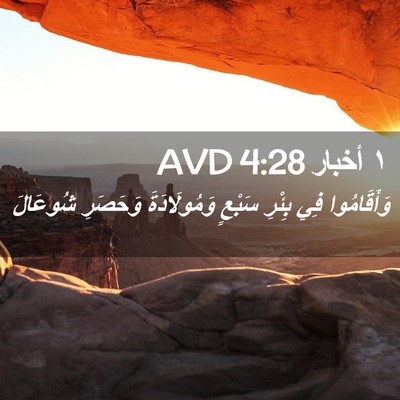 Picture 02 - ١ أخبار 4:28 AVD - وَأَقَامُوا فِي بِئْرِ - Bible Verse Picture