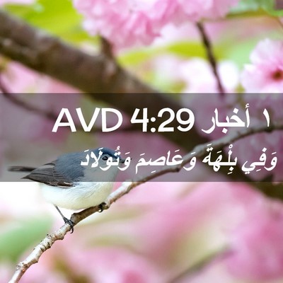 Picture 02 - ١ أخبار 4:29 AVD - وَفِي بِلْهَةَ وَعَاصِمَ - Bible Verse Picture