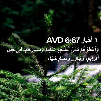 Picture 02 - ١ أخبار 6:67 AVD - وَأَعْطَوْهُمْ مُدُنَ - Bible Verse Picture