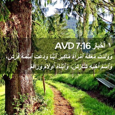 Picture 02 - ١ أخبار 7:16 AVD - وَوَلَدَتْ مَعْكَةُ - Bible Verse Picture