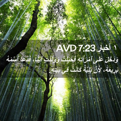 Picture 02 - ١ أخبار 7:23 AVD - وَدَخَلَ عَلَى - Bible Verse Picture