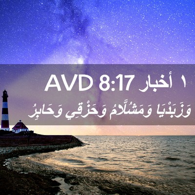 Picture 02 - ١ أخبار 8:17 AVD - وَزَبَدْيَا وَمَشُلَّامُ - Bible Verse Picture