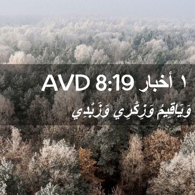 Picture 02 - ١ أخبار 8:19 AVD - وَيَاقِيمُ وَزِكْرِي - Bible Verse Picture