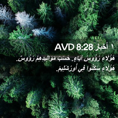 Picture 02 - ١ أخبار 8:28 AVD - هَؤُلَاءِ رُؤُوسُ آبَاءٍ. - Bible Verse Picture