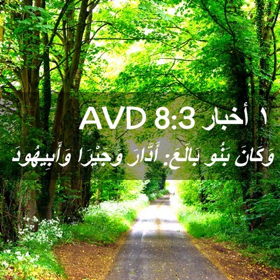 Picture 02 - ١ أخبار 8:3 AVD - وَكَانَ بَنُو بَالَعَ: - Bible Verse Picture