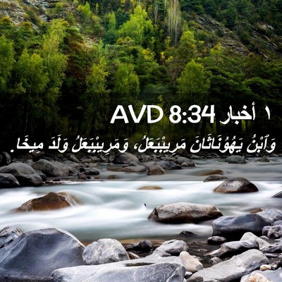 Picture 02 - ١ أخبار 8:34 AVD - وَٱبْنُ يَهُوُنَاثَانَ - Bible Verse Picture