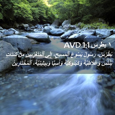 Picture 02 - ١ بطرس 1:1 AVD - بُطْرُسُ، رَسُولُ يَسُوعَ - Bible Verse Picture