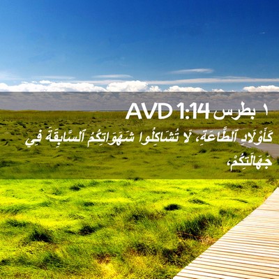 Picture 02 - ١ بطرس 1:14 AVD - كَأَوْلَادِ ٱلطَّاعَةِ، - Bible Verse Picture