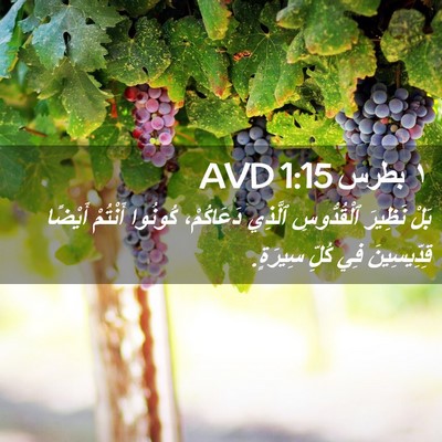 Picture 02 - ١ بطرس 1:15 AVD - بَلْ نَظِيرَ ٱلْقُدُّوسِ - Bible Verse Picture
