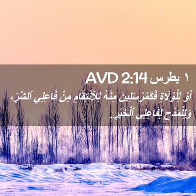 Picture 02 - ١ بطرس 2:14 AVD - أَوْ لِلْوُلَاةِ - Bible Verse Picture