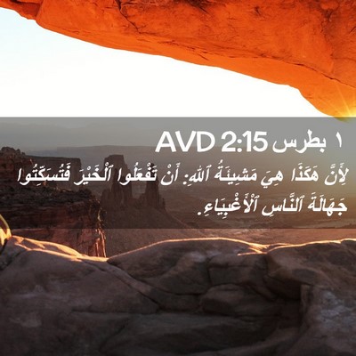 Picture 02 - ١ بطرس 2:15 AVD - لِأَنَّ هَكَذَا هِيَ - Bible Verse Picture
