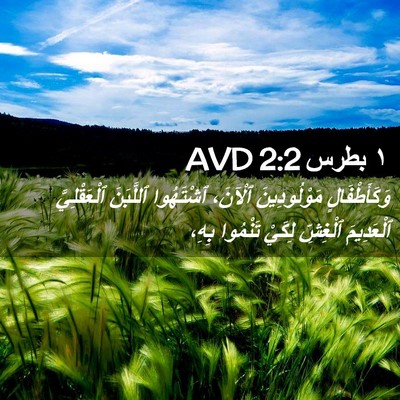 Picture 02 - ١ بطرس 2:2 AVD - وَكَأَطْفَالٍ - Bible Verse Picture