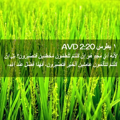 Picture 02 - ١ بطرس 2:20 AVD - لِأَنَّهُ أَيُّ مَجْدٍ - Bible Verse Picture
