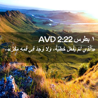 Picture 02 - ١ بطرس 2:22 AVD - «ٱلَّذِي لَمْ يَفْعَلْ - Bible Verse Picture