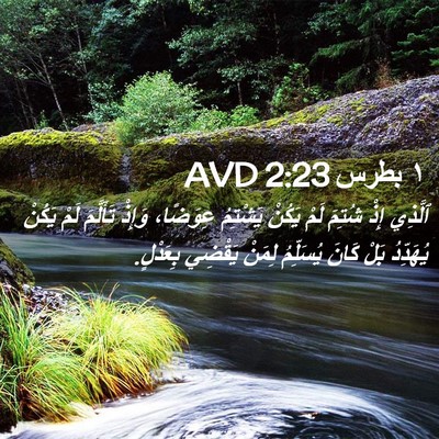 Picture 02 - ١ بطرس 2:23 AVD - ٱلَّذِي إِذْ شُتِمَ لَمْ - Bible Verse Picture