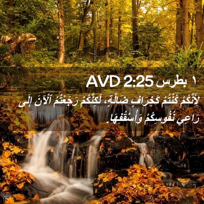 Picture 02 - ١ بطرس 2:25 AVD - لِأَنَّكُمْ كُنْتُمْ - Bible Verse Picture