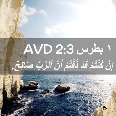 Picture 02 - ١ بطرس 2:3 AVD - إِنْ كُنْتُمْ قَدْ - Bible Verse Picture