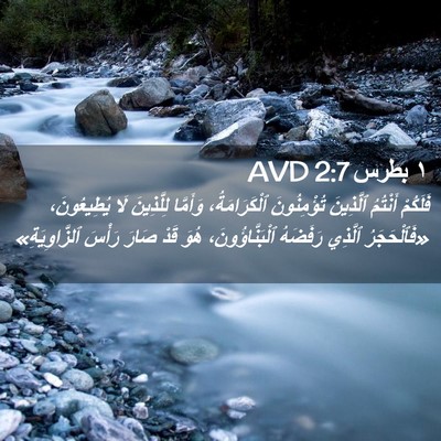 Picture 02 - ١ بطرس 2:7 AVD - فَلَكُمْ أَنْتُمُ - Bible Verse Picture