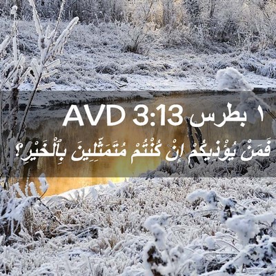 Picture 02 - ١ بطرس 3:13 AVD - فَمَنْ يُؤْذِيكُمْ إِنْ - Bible Verse Picture