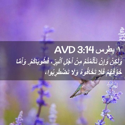 Picture 02 - ١ بطرس 3:14 AVD - وَلَكِنْ وَإِنْ - Bible Verse Picture
