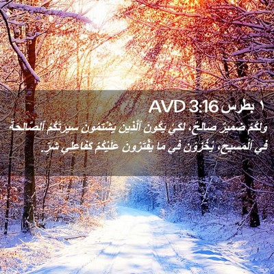 Picture 02 - ١ بطرس 3:16 AVD - وَلَكُمْ ضَمِيرٌ صَالِحٌ، - Bible Verse Picture