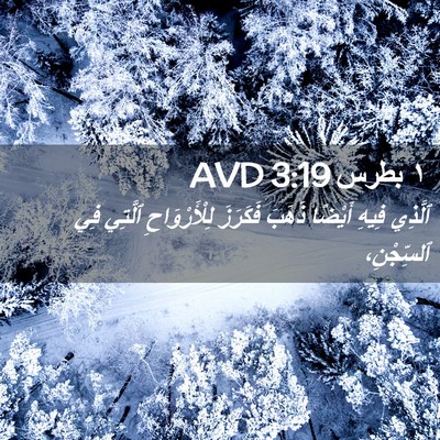 Picture 02 - ١ بطرس 3:19 AVD - ٱلَّذِي فِيهِ أَيْضًا - Bible Verse Picture